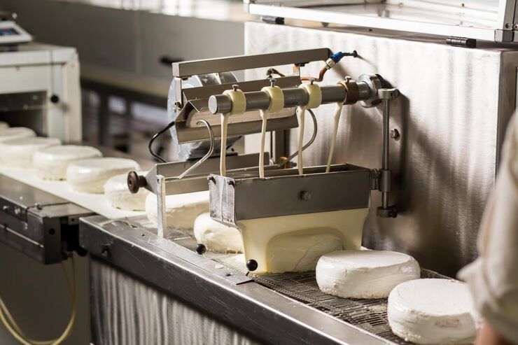 Discover Cheese Making Machines: Informative Knowledge, Process ...